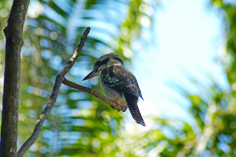 2009-11-06 22-02-16_3.jpg - Der lachende Hans